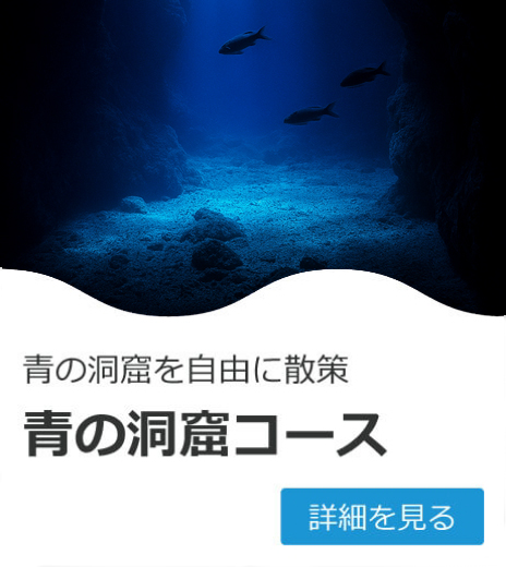 青の洞窟コース
