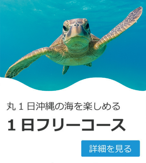 １日フリーコース